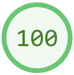 Lighthouse Performance Score